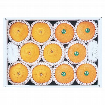 啪Y nEXʂfR|nzY (݂) (SDM-60)y͂ԁF12{`z